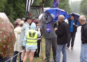Koala meet and greet on a rainy day