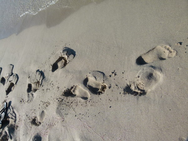 Jenny's footprints