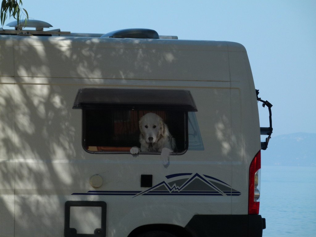 Our German neighbors for the night had this photo on the side of there motorhome. There is no window or dog just a convincing sticker. The dog they had with them was the dog in the picture Sammy who was very friendly.