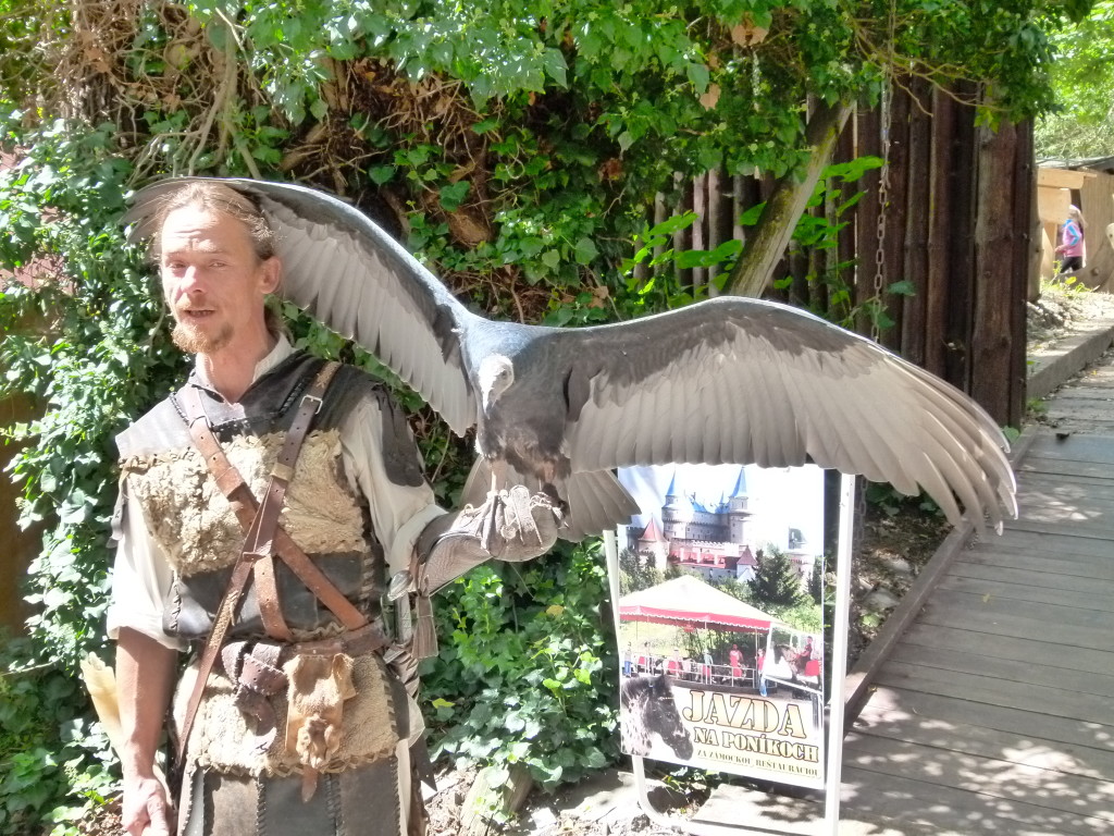 This man is holding a condor.