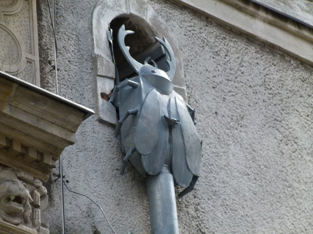 In this street they had many different downpipes. This is of a beetle, others were elephants, owls etc.