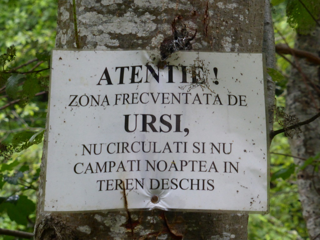 Saw this sign on the tree where we spent the night. Our Google translate version said "beware there are bears around and it is not safe for campers." I presume that in a tent it would not be safe??