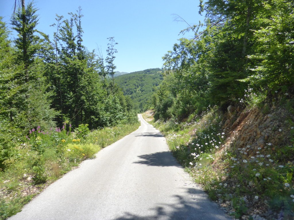 You were always looking ahead and especially when corners were coming up. you never knew what was around the bend.